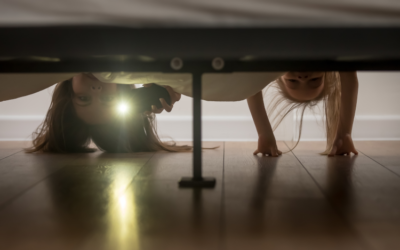 Comment exercer votre droit d’accès à vos données